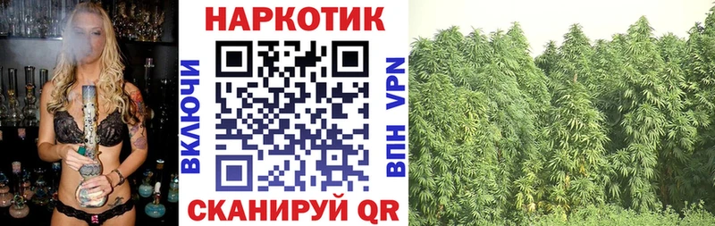 Купить закладку Гашиш А ПВП Меф мяу мяу Каннабис Cocaine Владимир