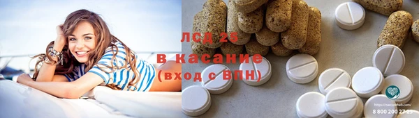 PSILOCYBIN Няндома