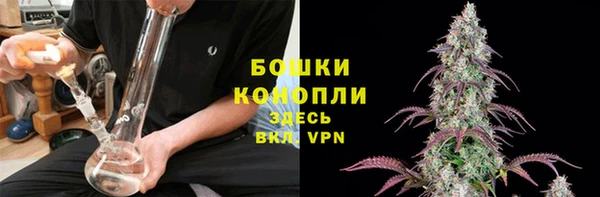 PSILOCYBIN Няндома