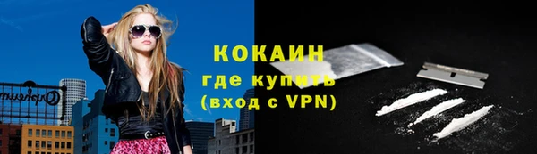 PSILOCYBIN Няндома
