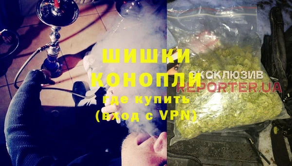 PSILOCYBIN Няндома