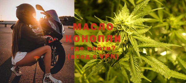 шишки Нязепетровск