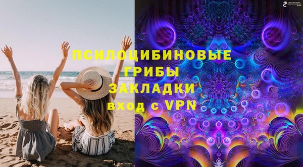 шишки Нязепетровск