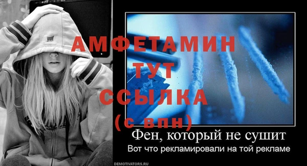 шишки Нязепетровск