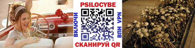 Псилоцибиновые грибы Cubensis  Купить  Владимир 